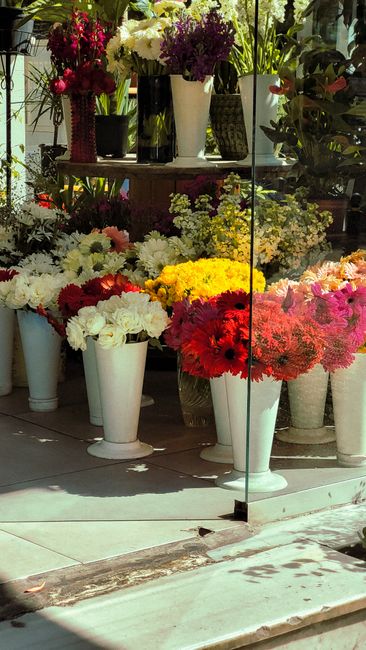 A display of various fresh floral arrangements in white ceramic and black vases at a flower shop. The arrangement includes white daisies, yellow chrysanthemums, deep red gerbera daisies, and pink peon