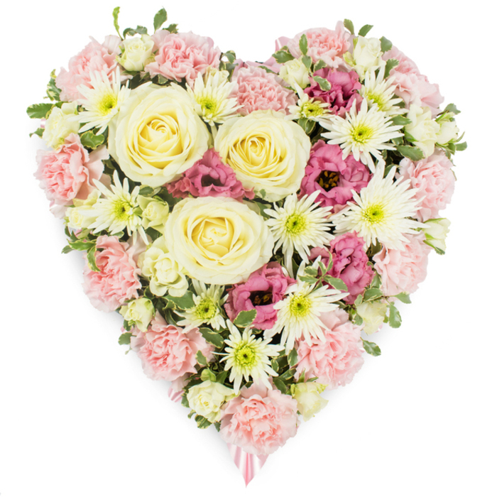 This image shows a meticulously crafted heart-shaped floral arrangement, designed as a sympathy or memorial tribute and presented against a crisp white background that allows every colour and petal to stand out. The heart is densely packed, with no visible gaps, giving it a luxurious, cushion-like appearance. At the visual centre, several large roses in shades of cream and soft buttery yellow open in perfect spirals, symbolising pure love and gentle remembrance. These are embraced by an abundance of pastel pink carnations, their frilled, cloud-like petals forming the main outline and body of the heart, creating a sense of softness and comfort. Scattered throughout are bright white spider chrysanthemums, instantly recognisable by their long, thin petals radiating from lively green centres, adding light, structure, and a delicate, almost feathery contrast. Nestled between the pastels, deeper magenta-pink lisianthus blooms contribute pockets of rich colour and a more elongated, bell-shaped form, lending depth and emotional intensity to the design. Slender pieces of variegated foliage and small green leaves weave discreetly between the blossoms, breaking up the mass of flowers with touches of natural freshness, much like glimpses of greenery around Maidenhead's parks and river paths. At the lowest point of the heart, a soft pink ribbon peeks out, hinting at a loop or bow hidden beneath the blooms, a quiet detail that marks this as a considered funeral tribute rather than a casual gift bouquet. The overall mood is one of tranquil beauty and heartfelt respect, the kind of floral heart that might be delivered by Flower Delivery Maidenhead to a local church, crematorium, or family home to honour a life with grace and tenderness.