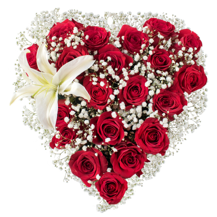 A lush heart of flowers is presented on a clean white background, each element described in tactile, sensory detail: dense clusters of deep crimson roses form the main body, their velveteen petals unfurling in a chorus of stages from tight buds to broad open cups that catch subtle gleams of light. Scattered and nestled among the roses are clouds of white baby's breath (Gypsophila); their tiny, bright florets weave through the reds and trace a soft, halo-like border that lightens the overall silhouette and introduces a delicate, whispery texture. Dominating the upper-left arc is a single, elegant white lily-its broad, smooth petals radiate outward with a faint creamy wash toward the centre, where yellow-orange stamens punctuate the form. The juxtaposition of the lush, passionate roses with the lily's pure, architectural shape creates a composed tension of romance and refinement. The photograph isolates the arrangement so it reads as an emblem of love, ideal for anniversaries, Valentine's Day, or a tasteful memorial placement at a riverside seat near Boulters Lock or the Nicholson's shopping area. A florist's eye notes the balance of scale and the tactile contrasts-the rose's softness, gypsophila's airiness, lily's sculptural calm-each selected and positioned to ensure longevity and a considered scent profile. The overall impression is one of meticulous care and emotional clarity: a floral heart that speaks plainly of devotion while retaining a local, handcrafted sensibility.