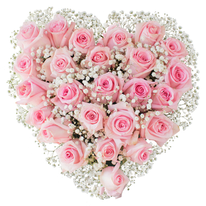 A meticulously crafted floral heart composed almost entirely of soft pastel pink roses nestles amid abundant sprigs of white baby's breath, photographed on a clean white background that isolates every petal and cluster. The bouquet presents a dense, uniform field of roses - each flower displaying subtle variations in tone from the palest blush at the outer edges to a deeper rosy glow toward the centre - and the blooms are shown at differing stages: some are tightly furled, satiny and compact, while others have eased open into layered spirals that reveal inner textures and light-catching curves. Threaded between and around them, the gypsophila reads like delicate lace, its innumerable tiny white blooms adding airiness and contrast while defining the heart's edge with feathered softness. The bright, neutral lighting sharpens details: the velvety petal surfaces, the faint dew on a few blossoms, and the careful spacing that creates perfect symmetry without feeling mechanical. As a florist in Maidenhead might describe it, this heart is suited for moments of profound sentiment - a vow renewal by the Thames, a Valentine left to surprise a loved one after a meal on the High Street, or a thoughtful wedding accent carried from local chapels to riverside receptions. The arrangement communicates tenderness and devotion through texture, colour, and form, offering a quiet, elegant expression of love and appreciation for both personal celebrations and solemn remembrances across the Maidenhead area.